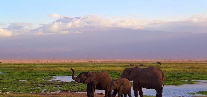 Hotels in Amboseli National Park