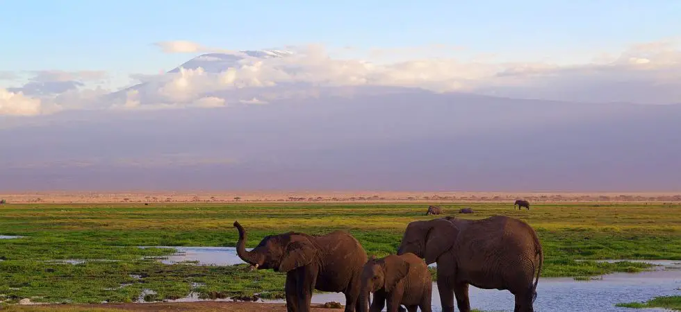 Hotels in Amboseli National Park