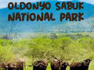 Ol Donyo Sabuk National Park