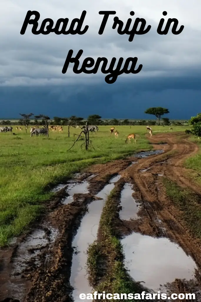 Road Trip in Kenya