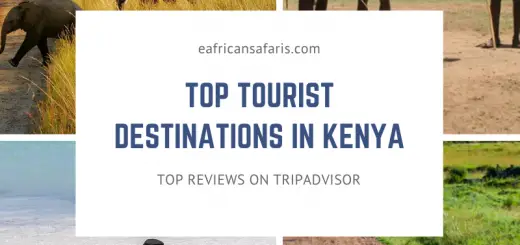 Top tourist destinations in Kenya on Tripadvisor